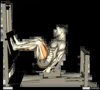 Starting position for the Horizontal Leg Press