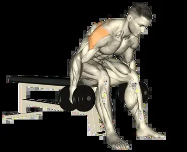 Starting position for the Incline Dumbbell Rear Delt Fly