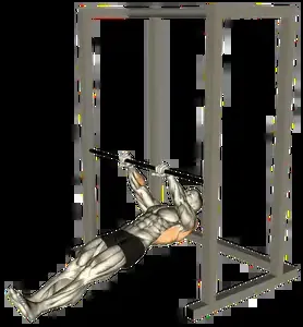 Starting position for the Inverted Row
