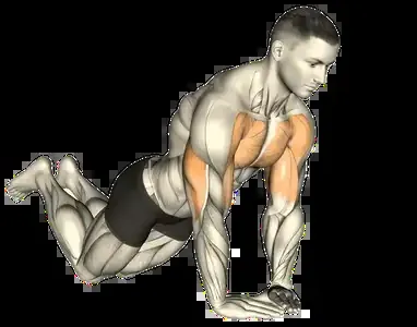 Starting position for the Knee Push-Up