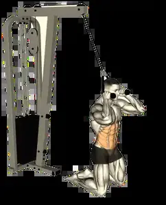 Starting position for the Kneeling Cable Crunch
