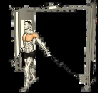 Starting position for the Low-to-High Cable Fly