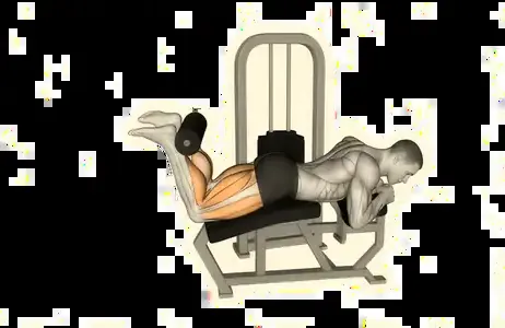 Starting position for the Lying Leg Curl Machine