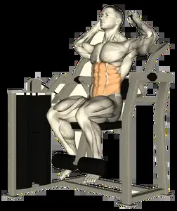 Starting position for the Machine Abdominal Crunch
