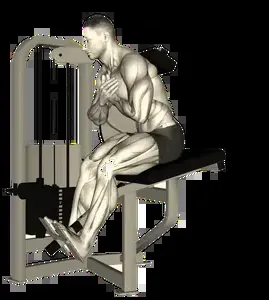 Starting position for the Machine Back Extension