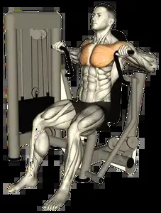 Starting position for the Machine Chest Press