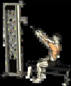 Starting position for the Machine High Row