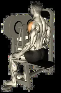 Starting position for the Machine Lateral Raise
