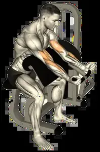 Starting position for the Machine Preacher Curl