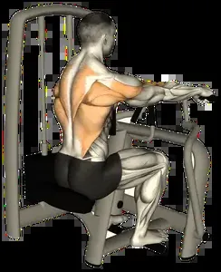 Starting position for the Machine Seated Row