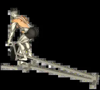 Starting position for the Machine T-Bar Row