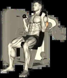 Starting position for the Machine Triceps Extension