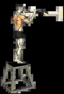Starting position for the Negative Pull-Up