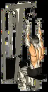 Starting position for the Neutral-Grip Cable Lat Pulldown