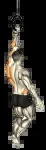 Starting position for the One-Arm Pull-Up