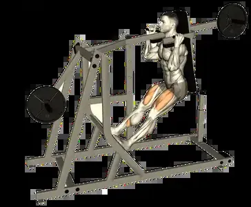 Starting position for the Pendulum Squat