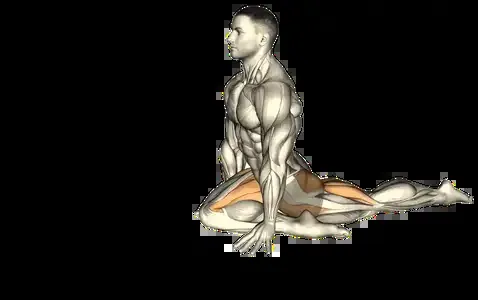 Starting position for the Pigeon Stretch