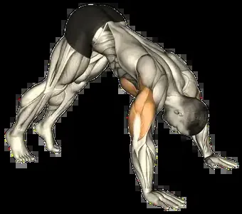 Starting position for the Pike Push-Up