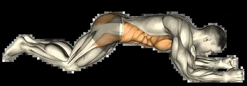 Starting position for the Plank