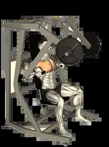 Starting position for the Plate-Loaded Chest Press