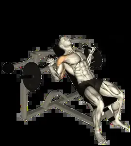Starting position for the Plate-Loaded Incline Chest Press