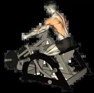 Starting position for the Plate-Loaded Seated Row
