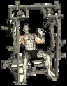 Starting position for the Plate-Loaded Shoulder Press