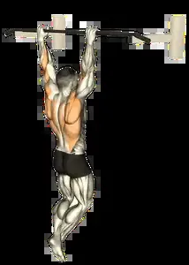 Starting position for the Pull-Up