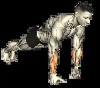 Starting position for the Push-Up