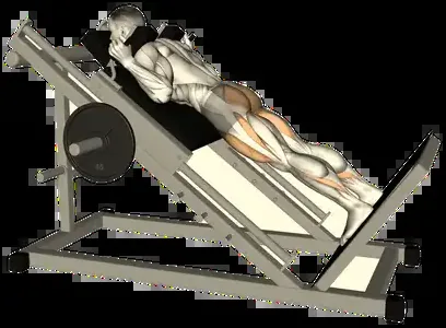 Starting position for the Reverse Hack Squat