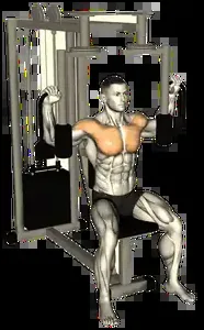 Starting position for the Reverse Pec Deck