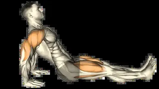 Starting position for the Reverse Plank
