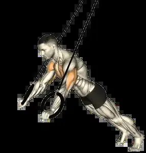Starting position for the Ring Push-Up