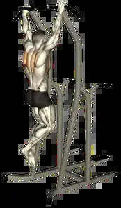 Starting position for the Scapular Pull-Up