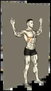 Starting position for the Scapular Wall Slide