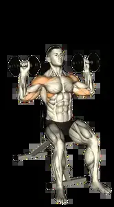 Starting position for the Seated Dumbbell Shoulder Press
