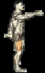 Starting position for the Shrimp Squat