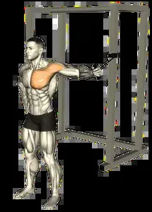 Starting position for the Single-Arm Band Chest Press