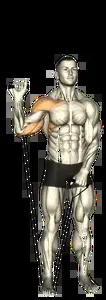 Starting position for the Single-Arm Band Overhead Press