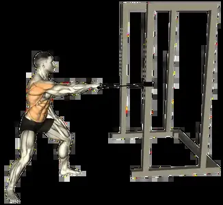 Starting position for the Single-Arm Band Row