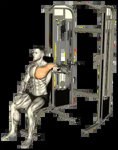 Starting position for the Single-Arm Cable Chest Press