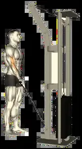 Starting position for the Single-Arm Cable Curl