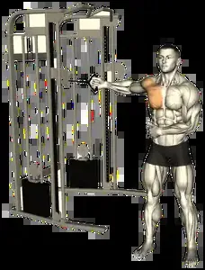 Starting position for the Single-Arm Cable Fly