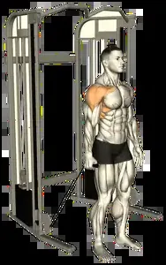 Starting position for the Single-Arm Cable Front Raise