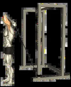 Starting position for the Single-Arm Cable Overhead Triceps Extension