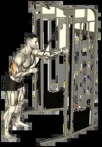 Starting position for the Single-Arm Cable Pushdown