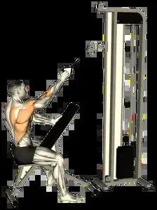 Starting position for the Single-Arm Cable Row