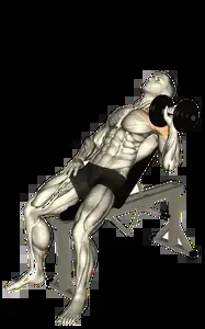 Starting position for the Single-Arm Dumbbell Incline Press
