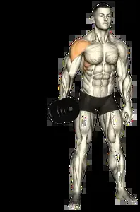 Starting position for the Single-Arm Dumbbell Lateral Raise