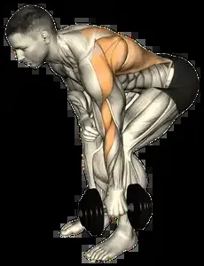 Starting position for the Single-Arm Dumbbell Row